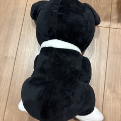 ジョジョの奇妙な冒険　イギー　ぬいぐるみの画像