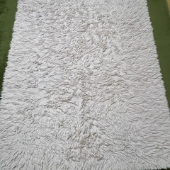 ラグ
の画像