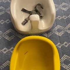 バンボ 
の画像