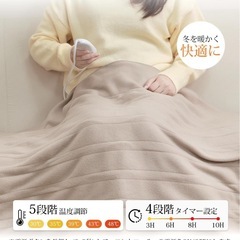定価6633円　早い者勝ち！　電気毛布 敷きかけ　新品未使用未開封ベージュ 140x80cmの画像