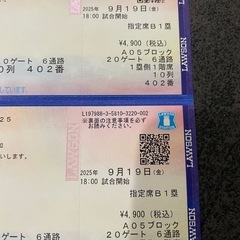 プロ野球　観戦チケット　東京ドーム
の画像