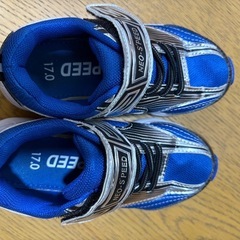 17cmスニーカーの画像