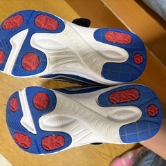 17cmスニーカーの画像