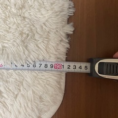 カーペット　毛の長いラグマットの画像