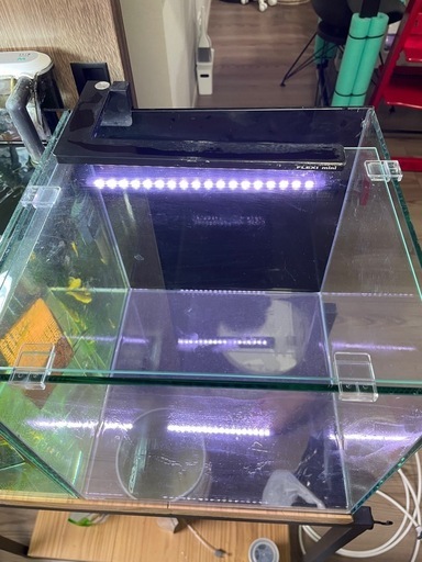 GEX 水槽セット（フィルター・LEDライト 付き）