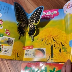 なかよしメイト　一年分　年中さんの画像