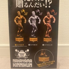 【新品未開封品】 なかやまきんに君 フィギュア りそうの姿トロフィー金の画像