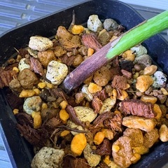 観葉植物　フィロデンドロン　グロリオーサムＡの画像