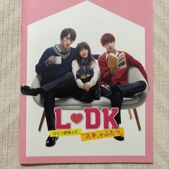 横浜流星写真集『流麗』 LDK ひとつ屋根の下　パンフレットの画像