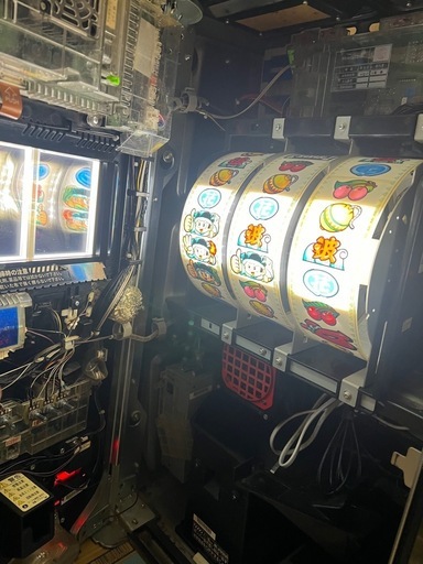 緑ドンVIVA情熱南米編