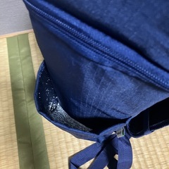 保冷リュックの画像