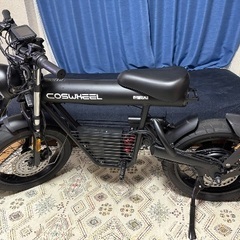 【取引中】COSWHEEL MIRAI 1000ペダルレスタイプの画像