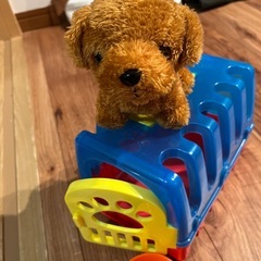 ワンちゃんセットの画像