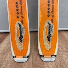 テレマーク　ダイナスター&コブラ？の画像