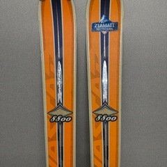 テレマーク　ダイナスター&コブラ？の画像