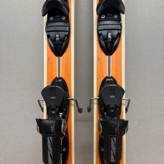 テレマーク　ダイナスター&コブラ？の画像