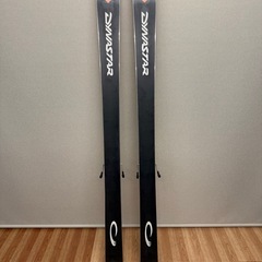 テレマーク　ダイナスター&コブラ？の画像