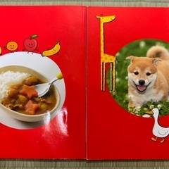 【新品に近い】1歳のどっち？クイズたべもの・どうぶつの画像