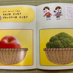 【新品に近い】1歳のどっち？クイズたべもの・どうぶつの画像