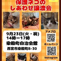 保護ネコのしあわせ譲渡会in西宮