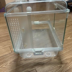 爬虫類ケージー魚ー水槽の画像