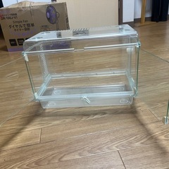 爬虫類ケージー魚ー水槽の画像