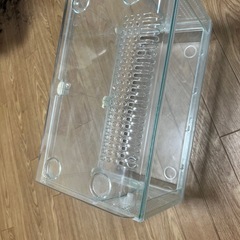 爬虫類ケージー魚ー水槽の画像