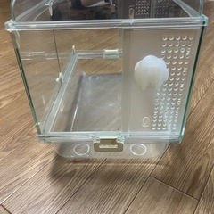 爬虫類ケージー魚ー水槽の画像