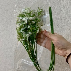 【美品】かすみ草　造花の画像