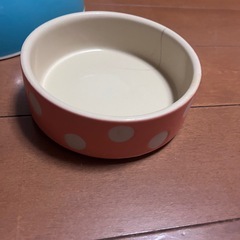 ドッグフード（未開封）、犬グッズ の画像