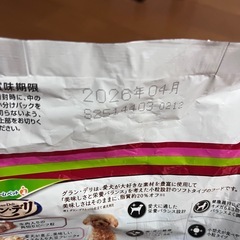 ドッグフード（未開封）、犬グッズ の画像