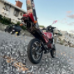 RZ250の画像