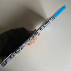 LONG TRAIL HIKING : ロングトレイルを歩くためにの画像