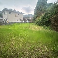 草刈り、芝刈り、除草剤散布致します。