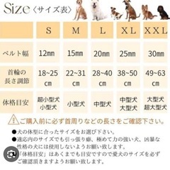 犬の首輪　赤色　21 の画像