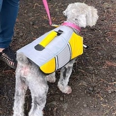 犬用ライフジャケット
の画像