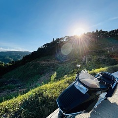 フュージョンMF02の画像
