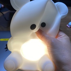 熊の画像
