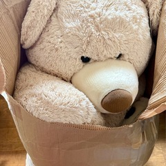 コストコ くまのぬいぐるみ テディベア 53インチ[未使用美品コストコBear]の画像