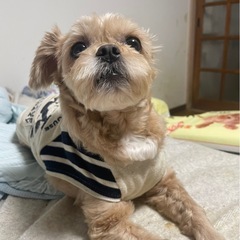 助けてください！今月末までに決めなくてはいけません。