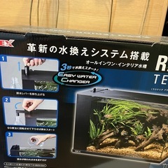 GEX ラクテリア ブラックの画像