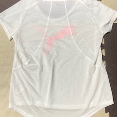 PUMA✨レディース✨半袖Tシャツ✨Lサイズ✨スポーツウェア✨綺麗めの画像