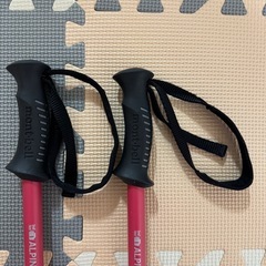 モンベル　トレッキングポール
の画像