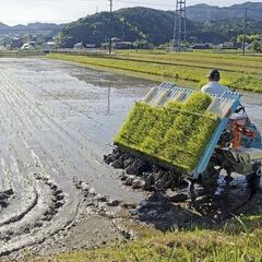 山形県での農業・田んぼボランティア活動を探しています（9月…