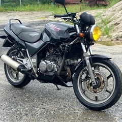 HONDA ホンダ　ゼルビス250 セル1発　自賠責付き　の画像
