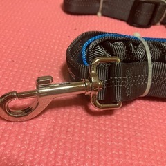 犬用リードの画像