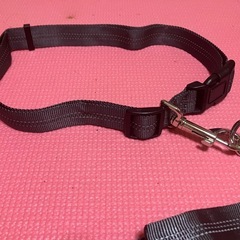 犬用リードの画像