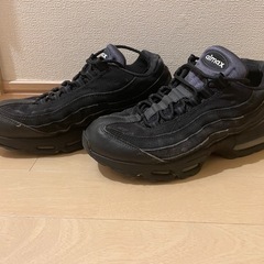 お値下げ❗️ナイキNIKE エアマックス95 26cmの画像