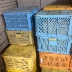 みかんコンテナの画像