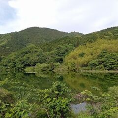 山の綺麗な土　畑用　配送可　　山土　花壇　家庭菜園　残土　埋め立て無料の画像